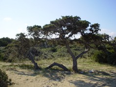 DSC00578.jpg
