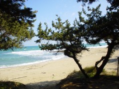 DSC00583.jpg