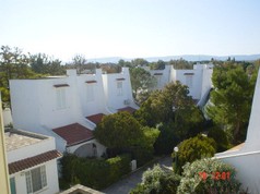 DSC03184.jpg