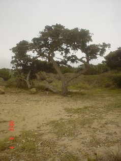 DSC05888.jpg