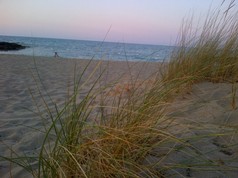 IMG-20130805-00377.jpg