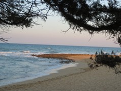 IMG_0227.jpg