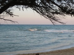 IMG_0228.jpg
