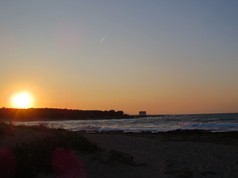 IMG_0229.jpg